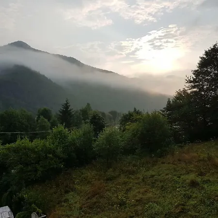 U Zbyszka